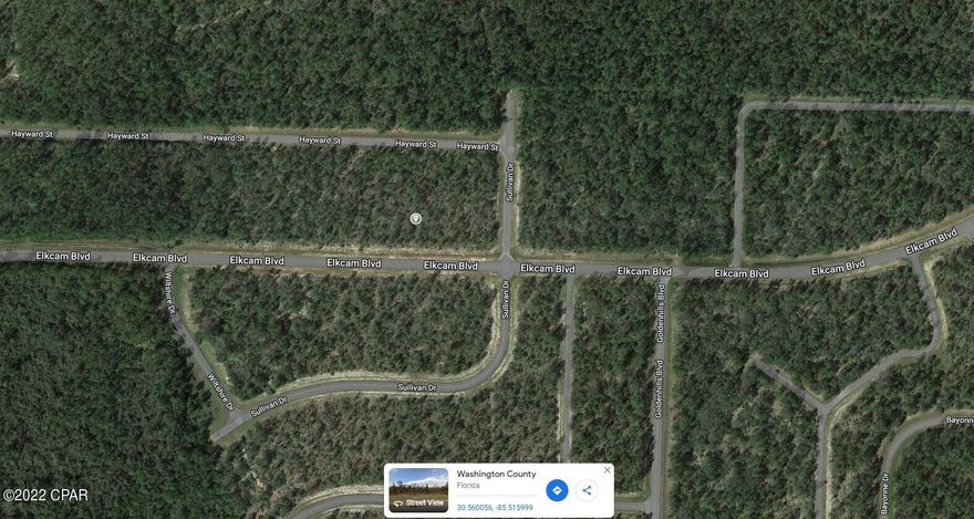 Nice homesite in Sunny Hills!! Only about a 45 minute drive to the Gulf of Mexico! The subdivision has 26 lakes and ponds, with 5 boat landings and 4 parks within its confines!! And don't forget to check out the Sunny Hills Golf and Country Club! What a magnificent course!! There are just over 24,000 homesites in Sunny Hills and only a few over 1000 have been built on...get in now!! HOMES ONLY subdivision, no mobile homes allowed.