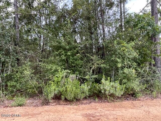 Paradise Acres - Land