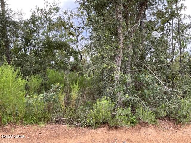 Paradise Acres - Land