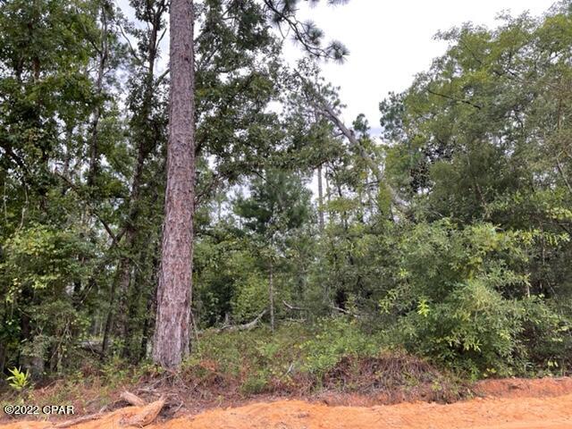 Paradise Acres - Land