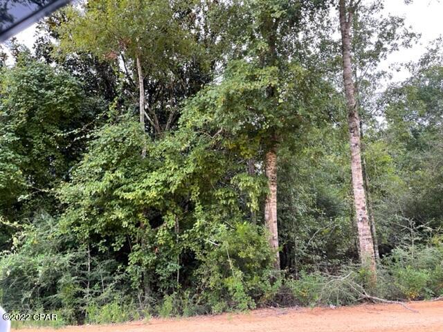 Paradise Acres - Land