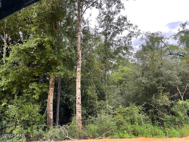 Paradise Acres - Land