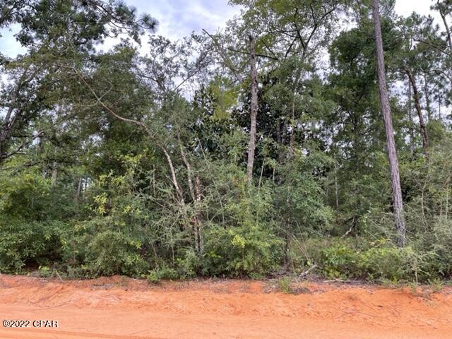 Paradise Acres - Land