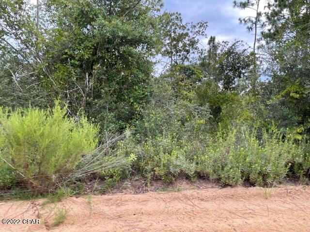 Paradise Acres - Land