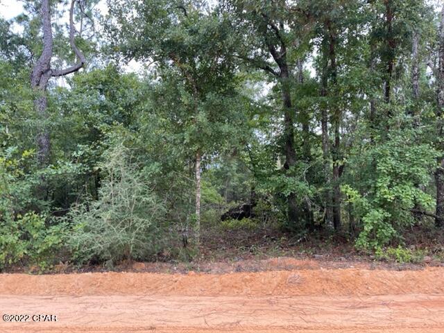 Paradise Acres - Land