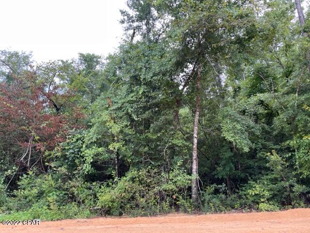 Paradise Acres - Land