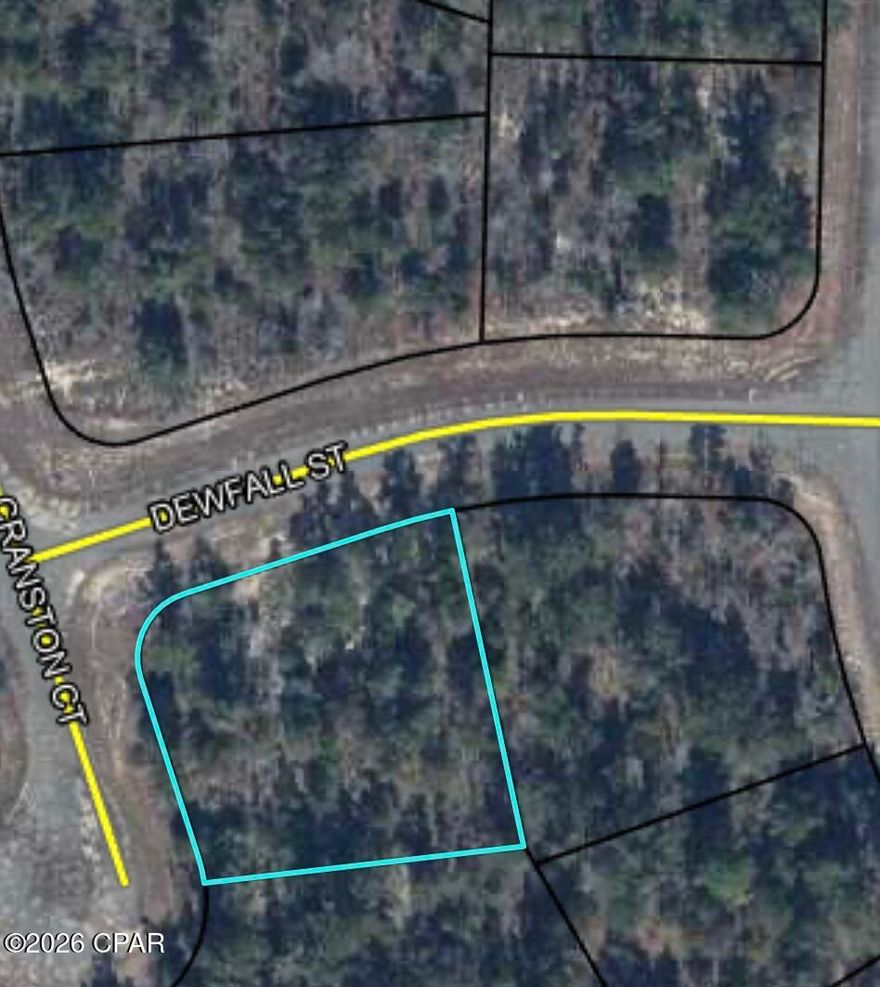 Looking for a great corner lot with lots of privacy to build your new home, this could be your lot. It is in south Washington County and is close to a great fishing lake called Porter Pond, and several other swimming and fishing lakes. Property is only 45 minutes to The Worlds Most Beautiful  Beaches and the Northwest Florida Beaches International Airport. Call a realtor to get more information.