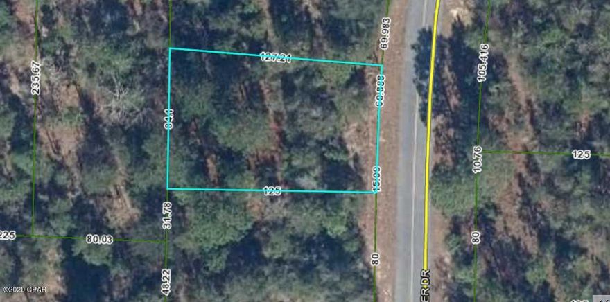 Great location in Sunny Hills to build! Private, yet just off the boulevard. Not too far from other homes, so cost to add water, septic, and electric should be minimal. Many lakes and ponds nearby, not to mention our very popular Boat Lake Swimming & Recreational area! 30 min. to the airport, 30 to PC, 40 to famous Pier Park and the beach! Chipley is just 25 minutes north. Great community, great people. Come join us!