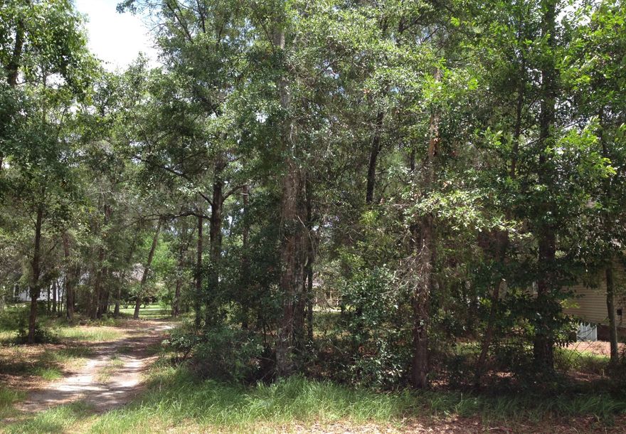 Own and build in one of Panama City most desirable neighborhoods. Riverside offers sidewalks, basketball court, playground, exercise room, pool, dock, 60 acres of shared parks, community room, game room, and much more.
