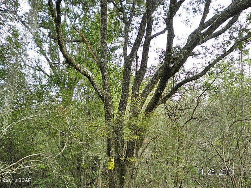 GREAT BUY ON THIS 21 ACRE PARCEL OF WOODED LAND, this property has many uses build your dream home in the middle of the 42 ac for solitude, has some wet areas which make the wildlife abundant, this property has access through Compass Lake in the Hills but is not part of the subdivision, if you are looking for a smaller parcel of land MLS number 249146 is part of the property. Please drive by and take a look at this property you will enjoy the trip.