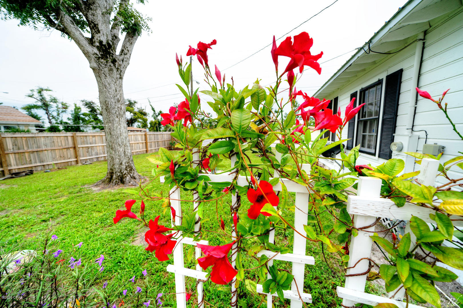 Segler - Residential