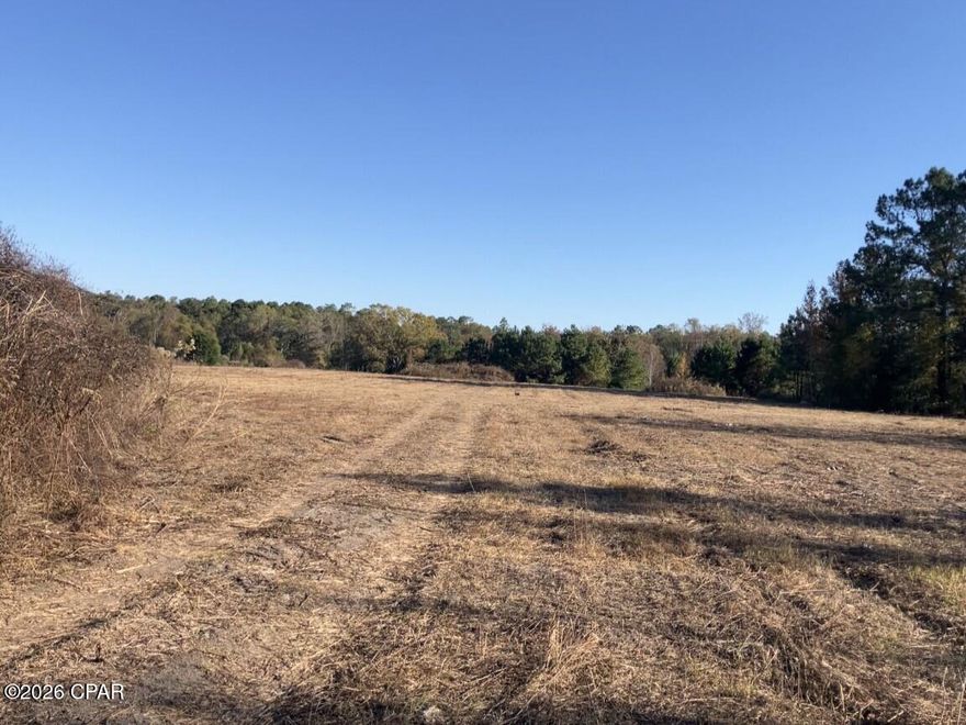 This is a very DIVERSE property. Highly sought after Industrial/Commercial property with 355 feet of highway frontage on SR 65. The back of the property is zoned Village Rural which means can be commercial or residential.  There is a pond located on the property and the back boundary runs along a branch.  This property offers a buyer many options.  Property is partially cleared and cleaned off except for a concrete slab along the south boundary.  There is an older survey available; would need to be updated.