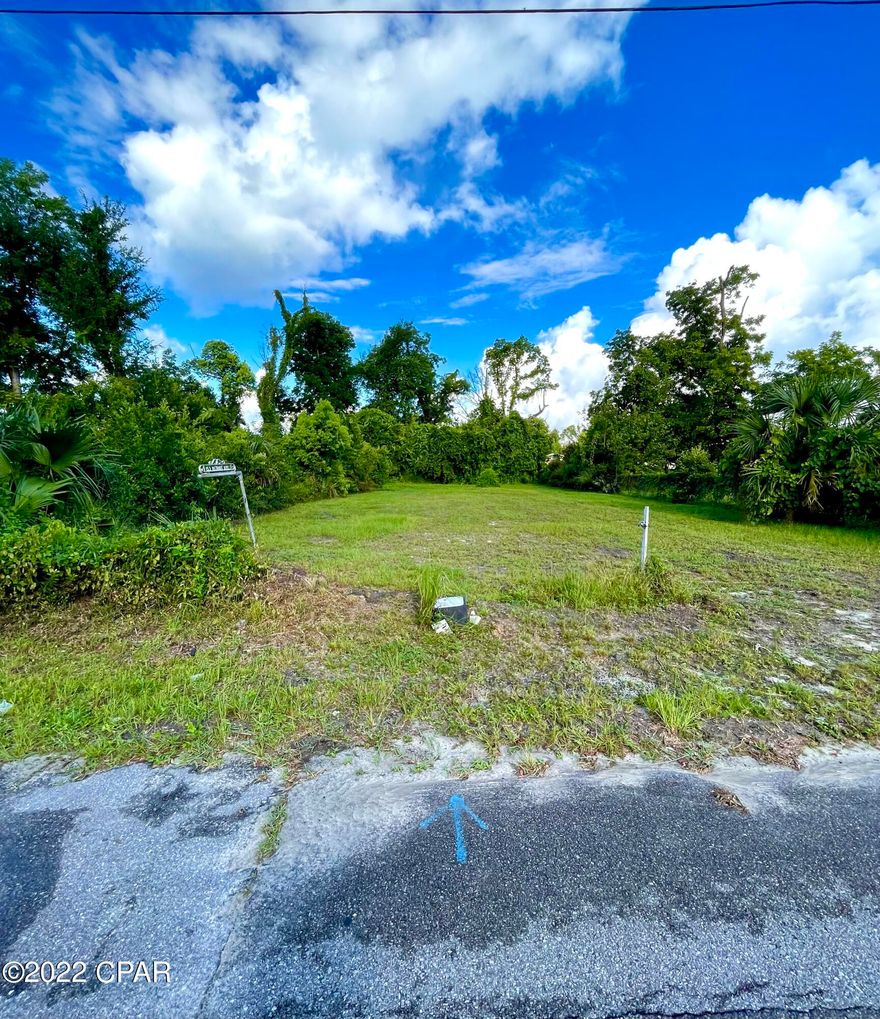 Check out this perfectly maintained vacant lot in Springfield! Call your favorite realtor today before it's gone!





All measurements to be verified by buyer if deemed important.