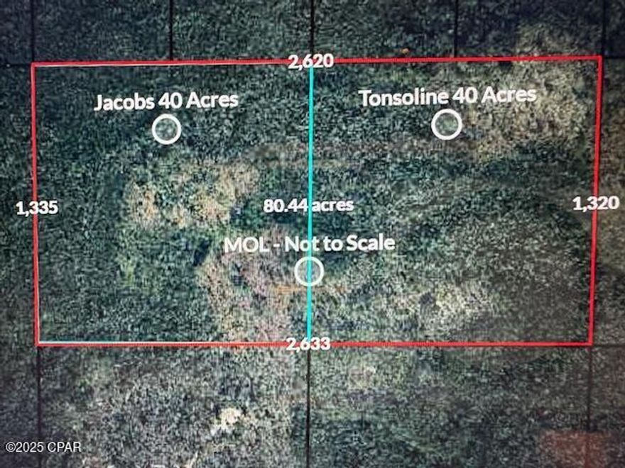 80 acres with a deeded easement that is perfect for your hunt camp or just to be one with nature. Live on the land or make it your weekend getaway. It's only a 45minute drive more or less into Panama City to head to the beach. Wooded, quiet, and peaceful. This property is two 40 acre parcels combined that adjoin and have separate owners & separate parcel ID's.