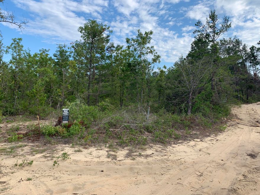 Nice piece of Vacant land just behind Sunny Hills. High and Dry. Horses welcome..Why by 1/2 ac lots in there when you can have almost 5 acres at the end of a dead end rd for peace and quiet. Still just a stone throw from the golf and fishing of Sunny Hills. You are about a 40 minute ride to the worlds most beautiful beaches in Panama City. 15 minute ride to I 10 if you want to travel to Tallahassee, Jacksonville, New Orleans or Pensacola. Walmart is about 15 mins away but you have the Dollar general just up the street for any quick needs. You are also only about 25 mins to the Northwest International Airport if you need to fly somewhere in a hurry.. Get your private showing now. Mobile homes allowed
