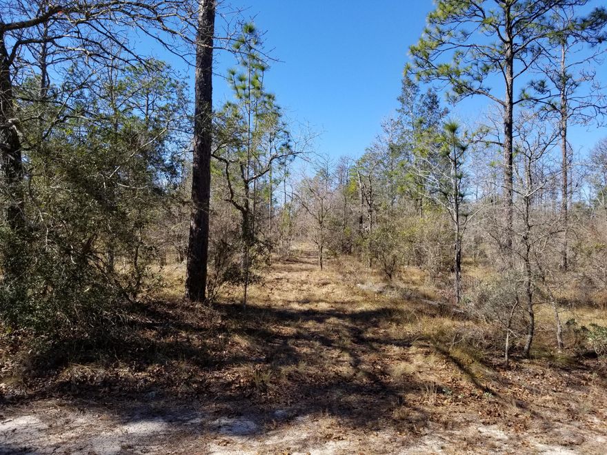 Don't settle for property without security and amenities! Welcome to Leisure Lakes, a security gated community about 30 minutes from Panama City that offers two clear lakes for fishing, boating, kayaking, swimming and more. The recreation area includes a swimming pool that overlooks the big lake, has a basketball court, tennis court, covered picnic area, toddler playground, and restrooms. A rental kitchen is available for family gatherings and parties. This flat, 3.16 acre lot has plenty of trees, offers privacy and is not far from the recreation area. There are live gate guards during weekdays, and owners are given a private entry code for access when security guards are not present.