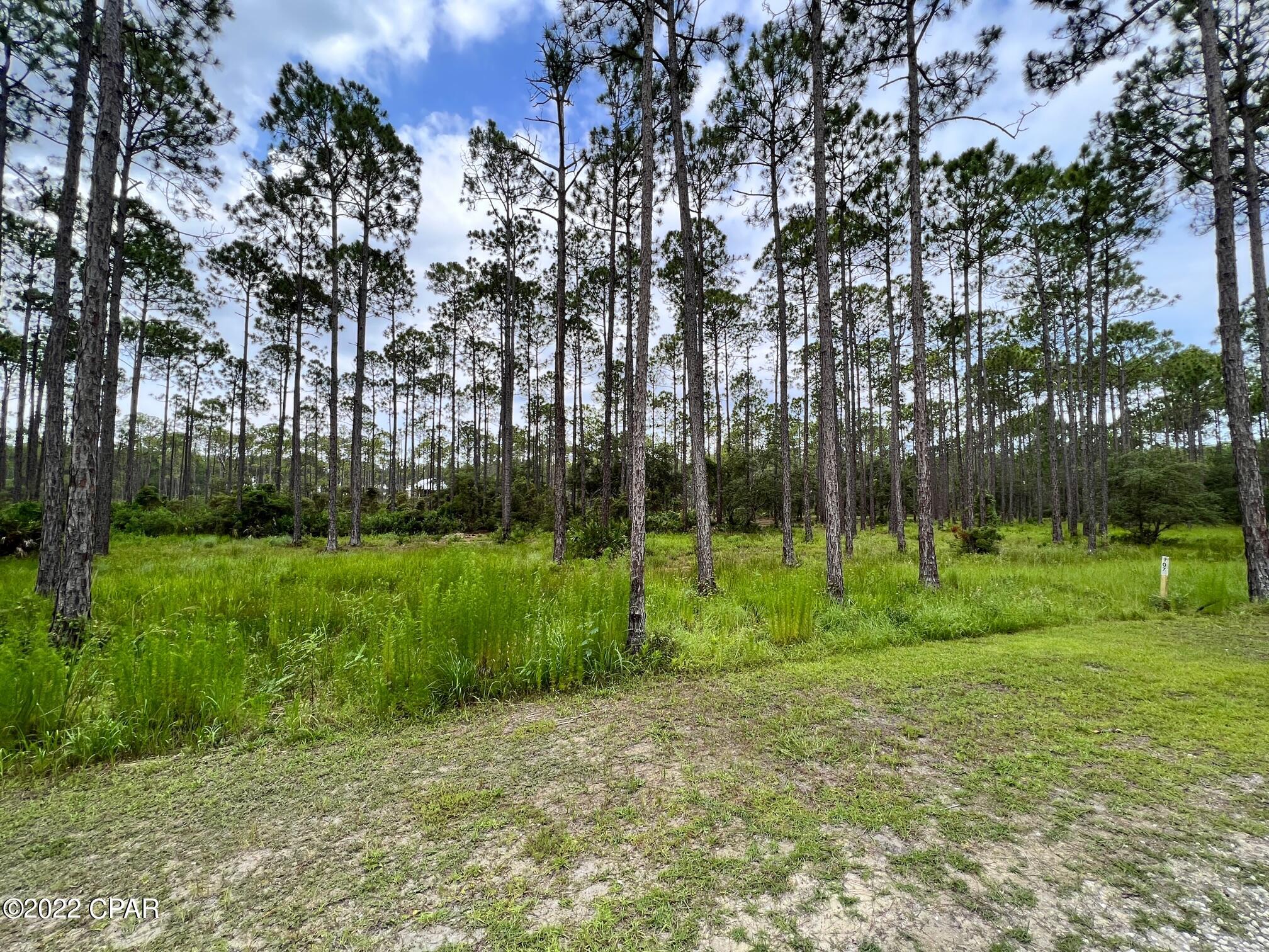 Rivercamps On Crooked Creek Ph 2 - Land