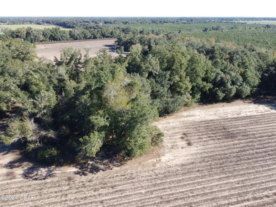 This stunning 125-acre tract located at the serene crossroads of Sylvania Plantation Road and Nubbin Ridge Road in northern Jackson County, Florida, offers a mix of woods along with four cleared fields.  This property provides the perfect balance of convenience and privacy, with easy road frontage, while maintaining a tranquil, secluded atmosphere.  This versatile property can meet the needs of farmers, hunters, nature enthusiasts and/or homebuilders.  With plentiful opportunities for farming and hunting both deer and turkey, this land is an outdoor lover's dream. Whether you're looking for farm acreage, a private hunting retreat or a peaceful homesite surrounded by nature, this property offers endless possibilities for your personal use or as an investment opportunity.  This 125-acre tract can be subdivided.