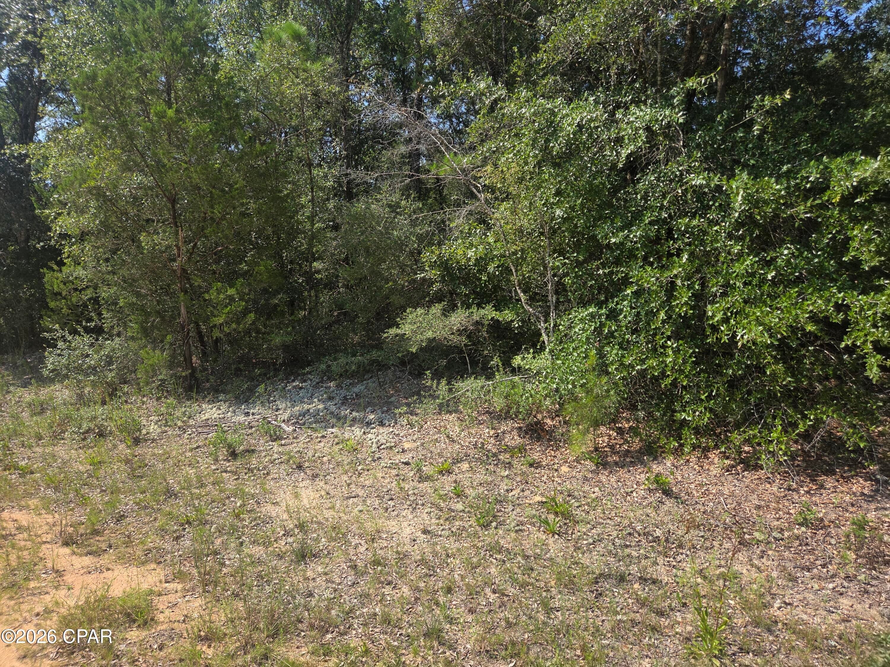 LOT 19 Dorcas Road