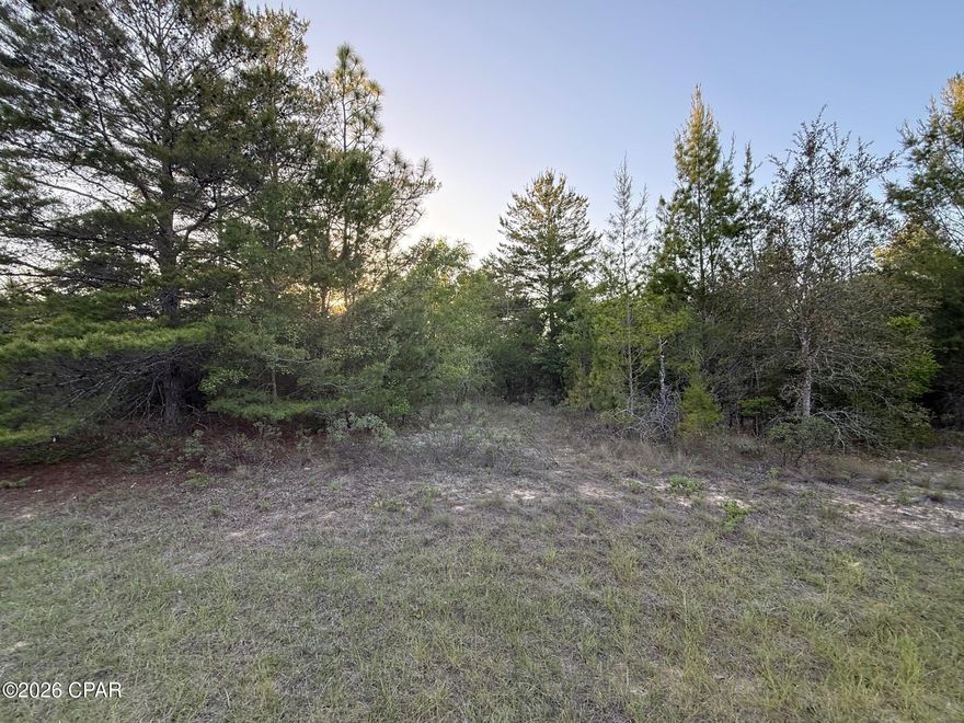 Great flat 0.24-acre lot in Sunny Hills! A survey and approved plans are available, making it easy to get started on building your dream home. The septic permit is in place and partially paid, and the driveway permit has already been paid. A private inspector has also been partially paid, adding even more value and convenience for the next owner. This is a perfect opportunity to build your dream home in a growing, peaceful community or for a builder to get started quickly with much of the legwork already completed. Sunny Hills features multiple lakes and ponds ideal for fishing, as well as an 18-hole golf course. Located just 40 minutes from Panama City Beach and approximately 20 minutes from the airport.