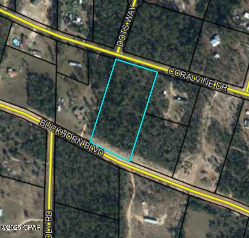 Buckhorn Creek - Land