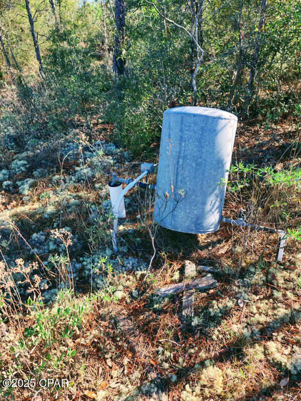 Buckhorn Creek - Land
