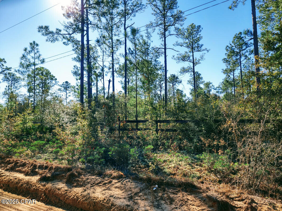 Buckhorn Creek - Land