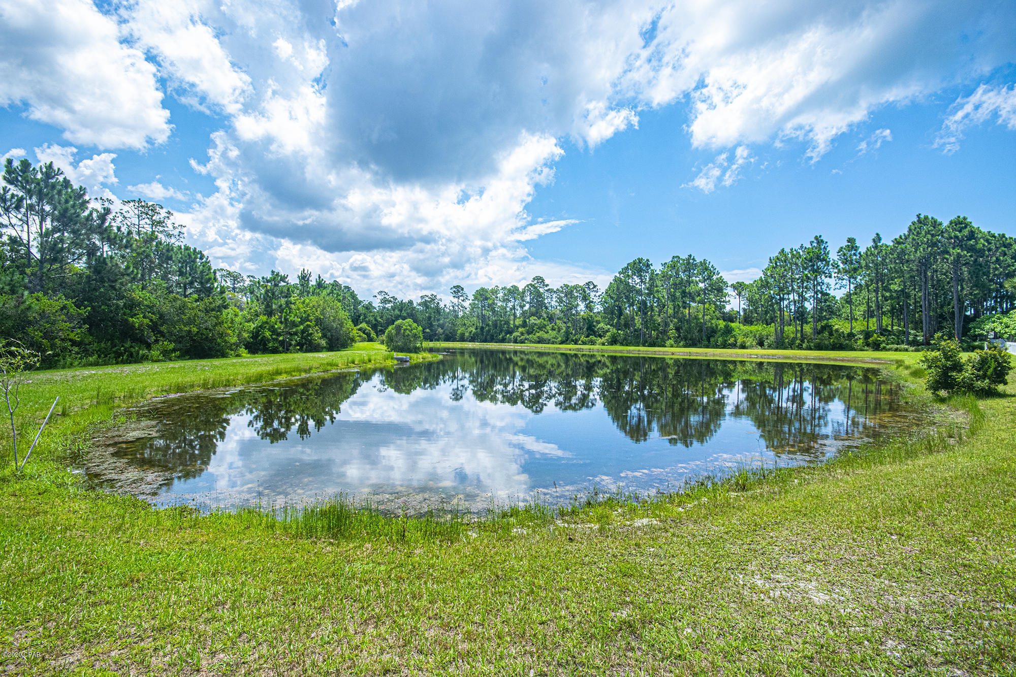 Palmetto Trace Phase III - Residential