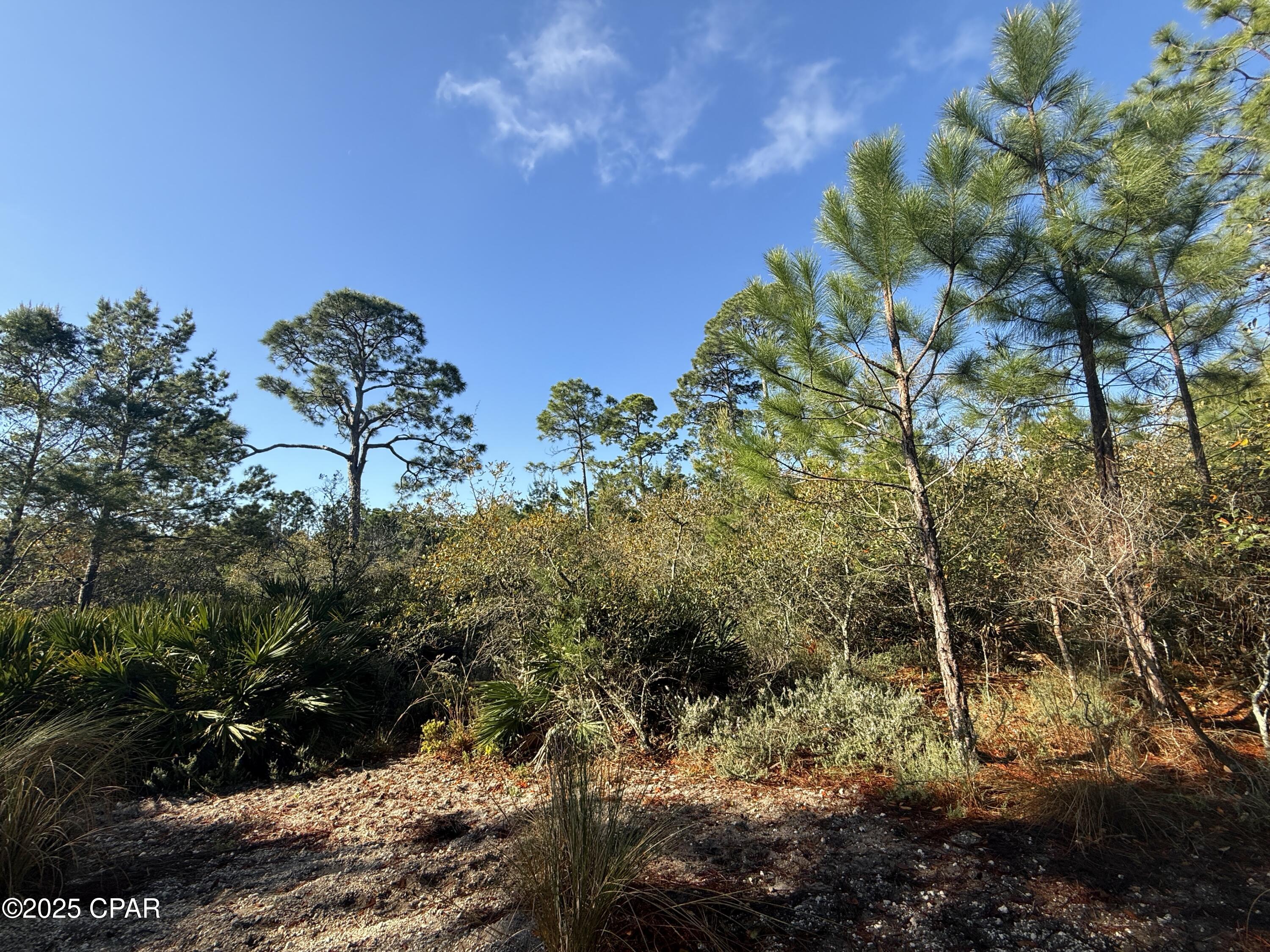 Martinique Phase III - Land