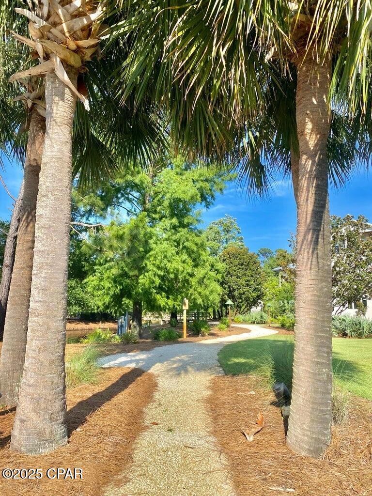 Martinique Phase III - Land