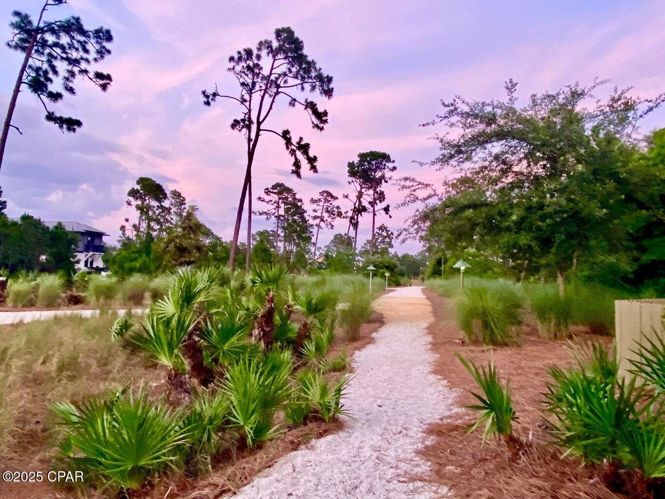 Martinique Phase III - Land