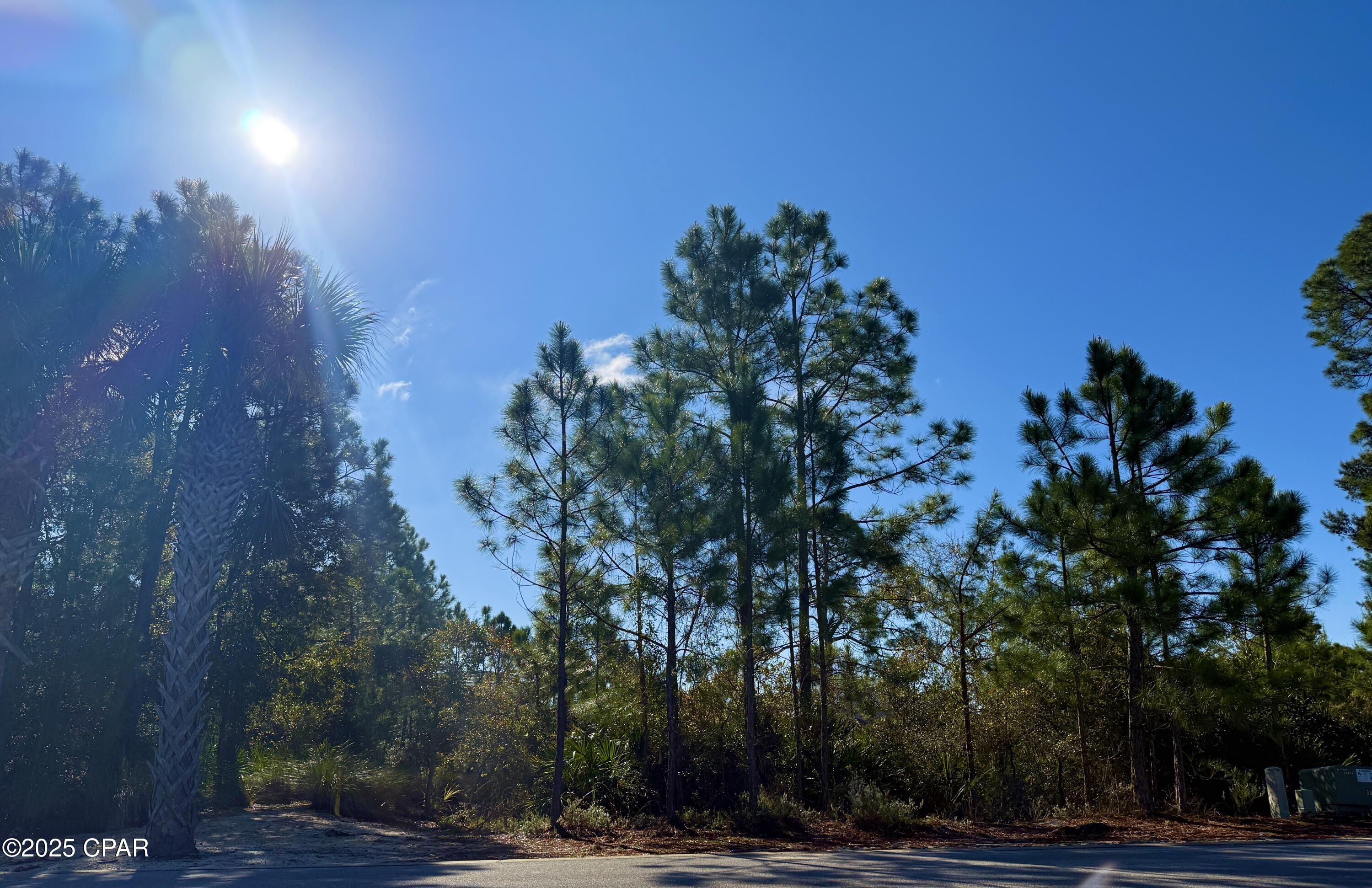 Martinique Phase III - Land