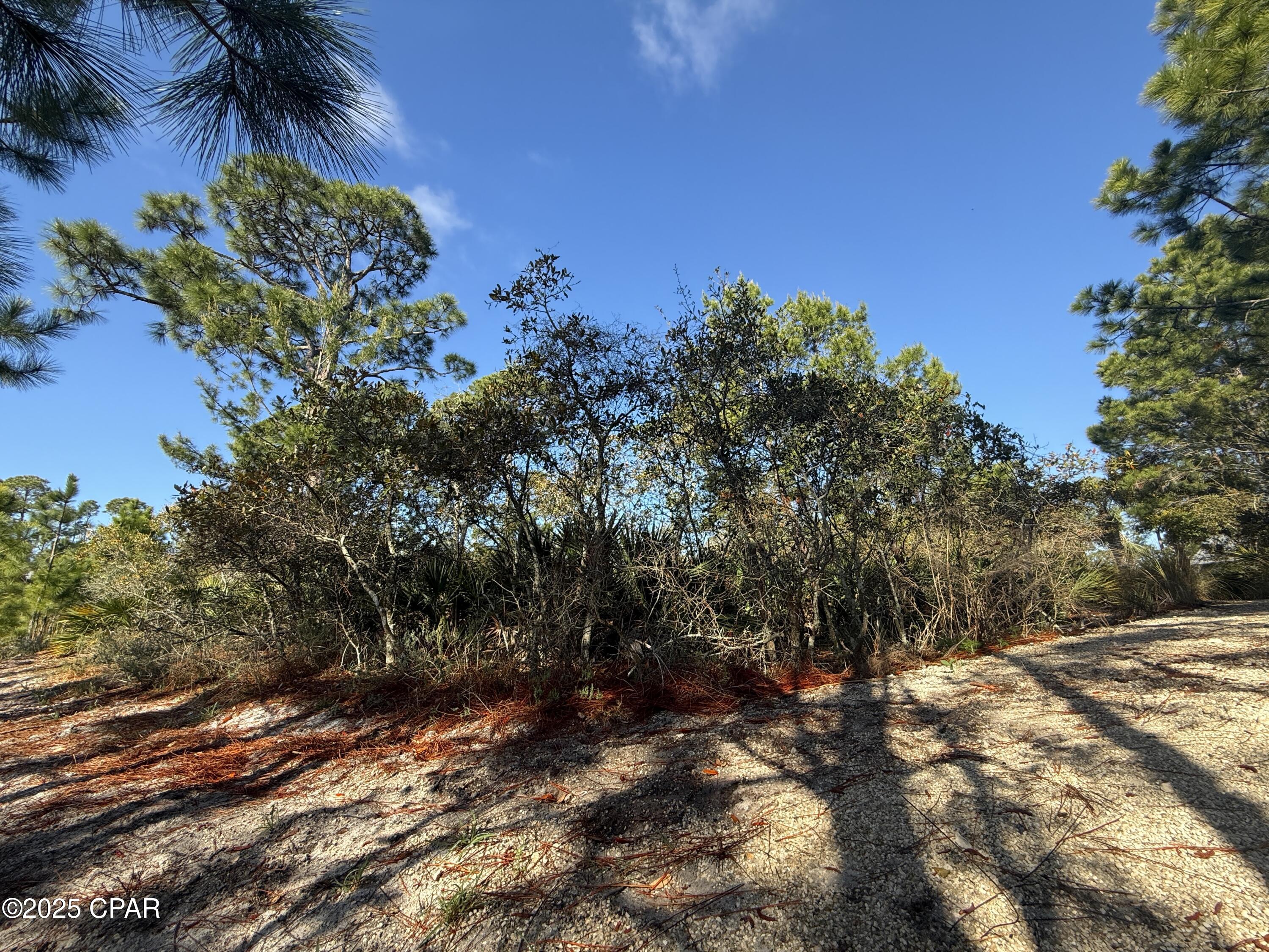 Martinique Phase III - Land