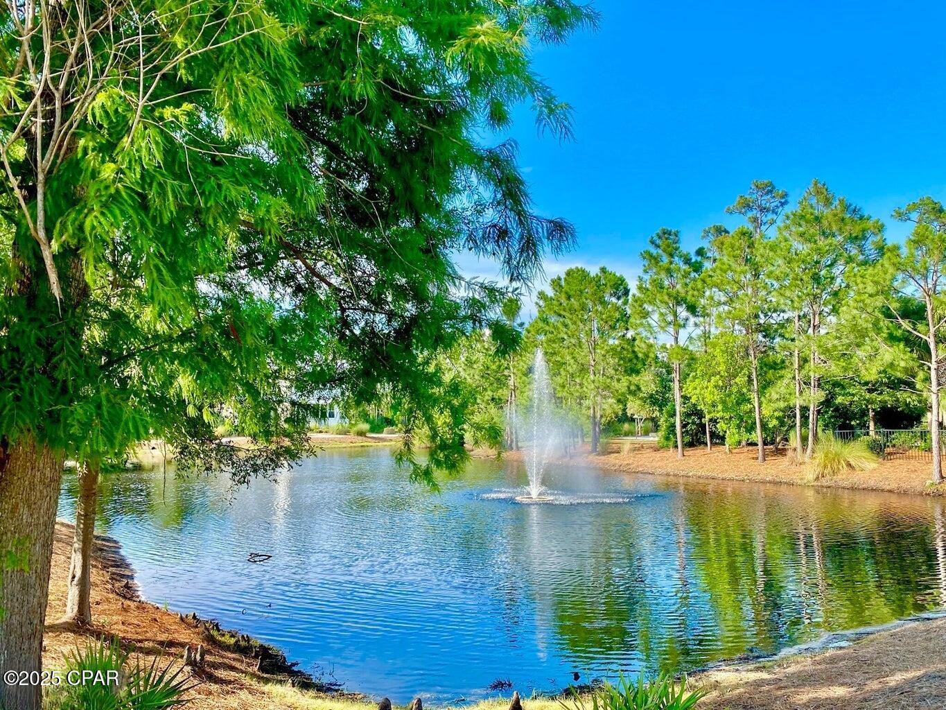 Martinique Phase III - Land