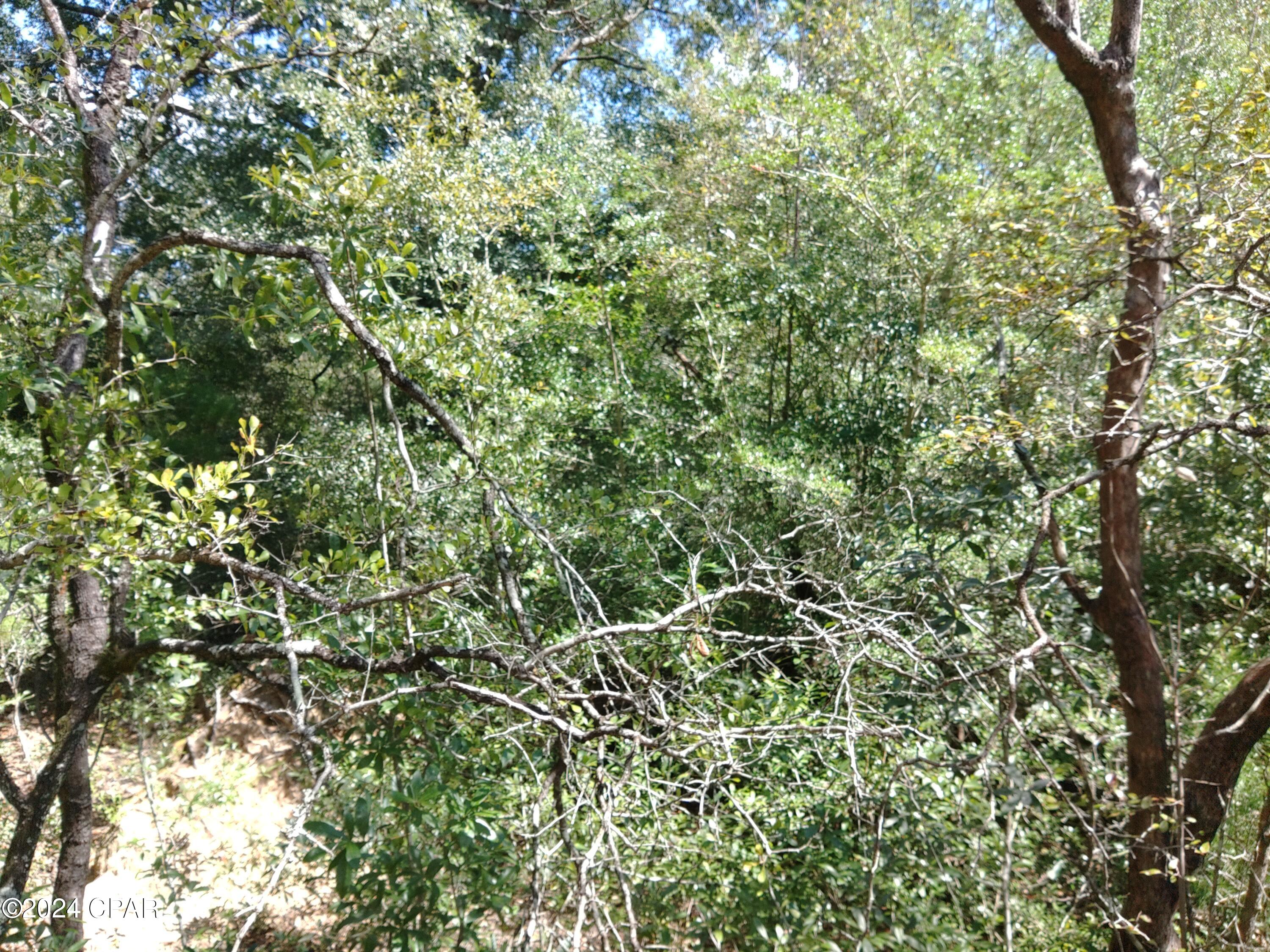 Sunny Hills Unit 1 - Land