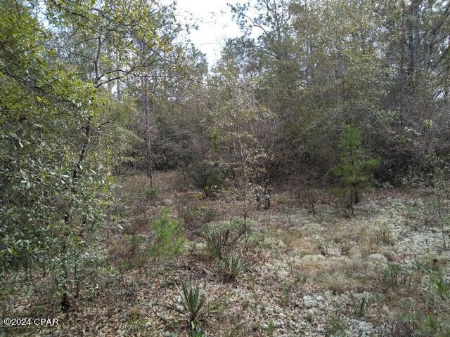 Sunny Hills Unit 1 - Land