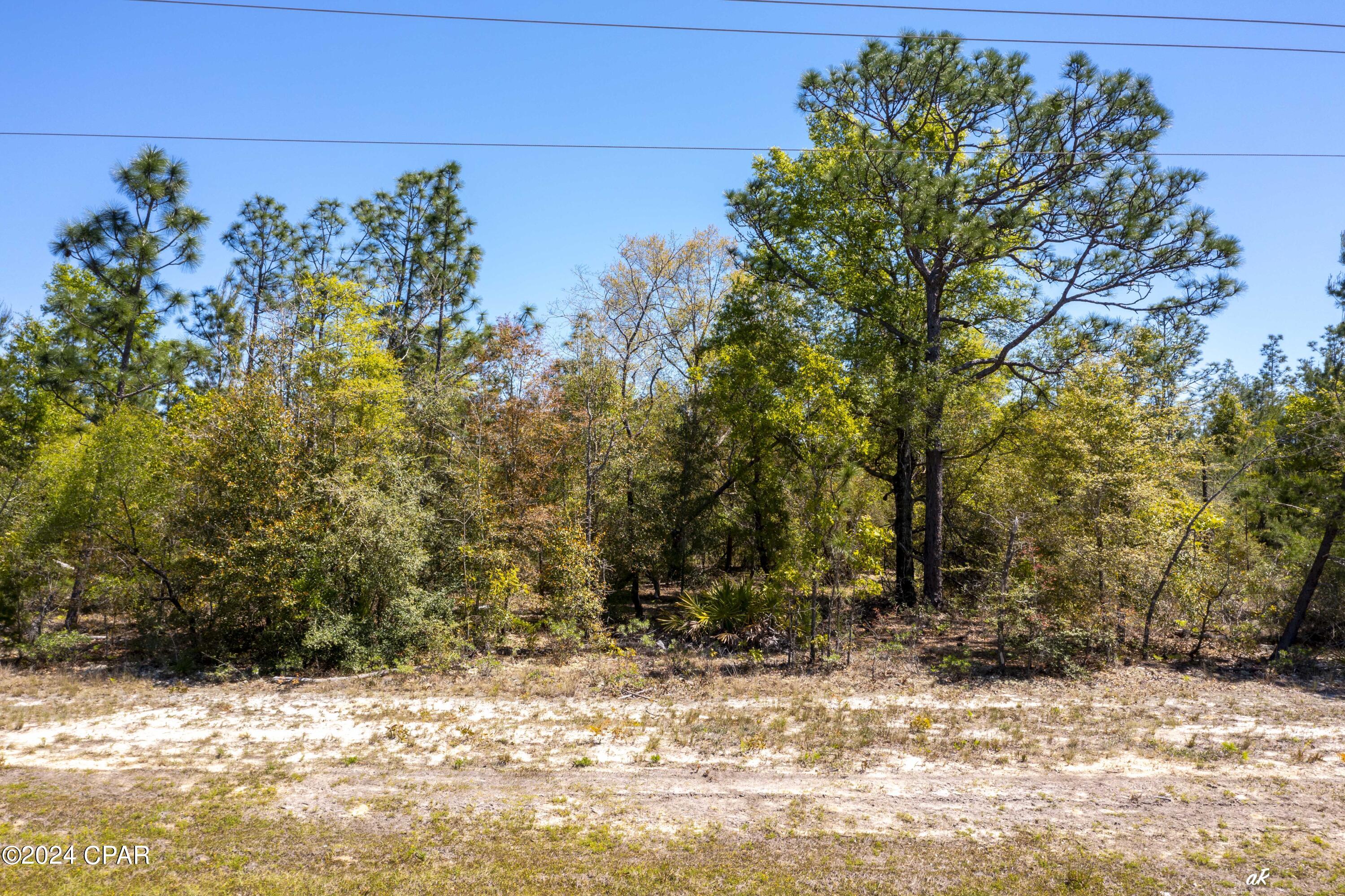 Silver Lake Estates - Land