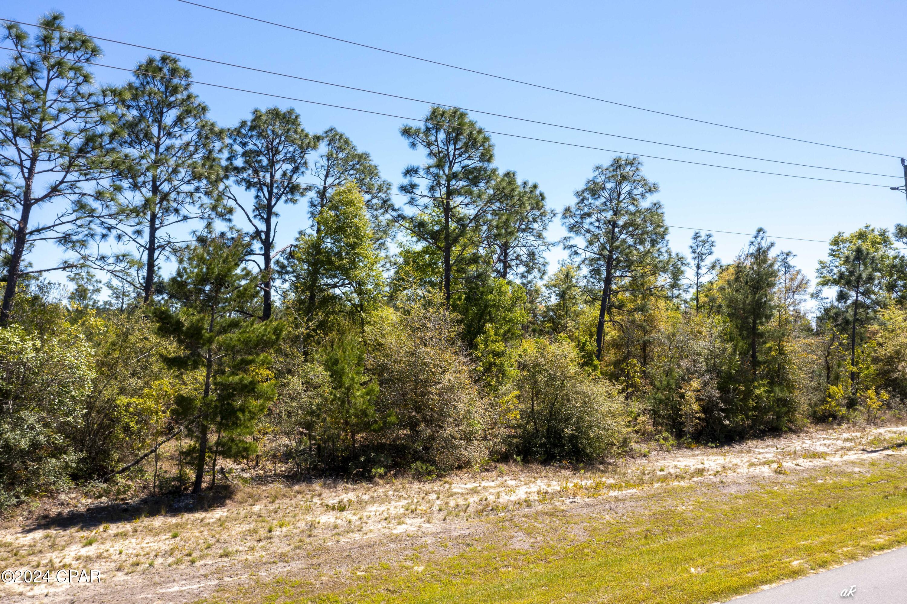 Silver Lake Estates - Land