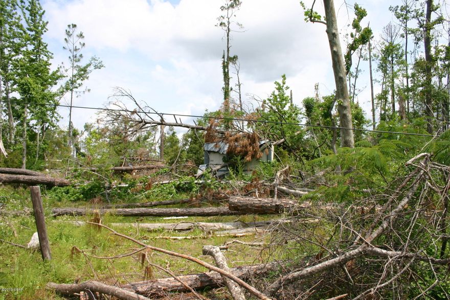 Building lot in Fountain Florida. Short distance off HWY 231 for that easy commute to town. The singlewide mobile home received significant damage from Hurricane Michael and is considered to be of no value. Condition of improvements (well, septic) are unknown as seller received the property as the result of a foreclosure.