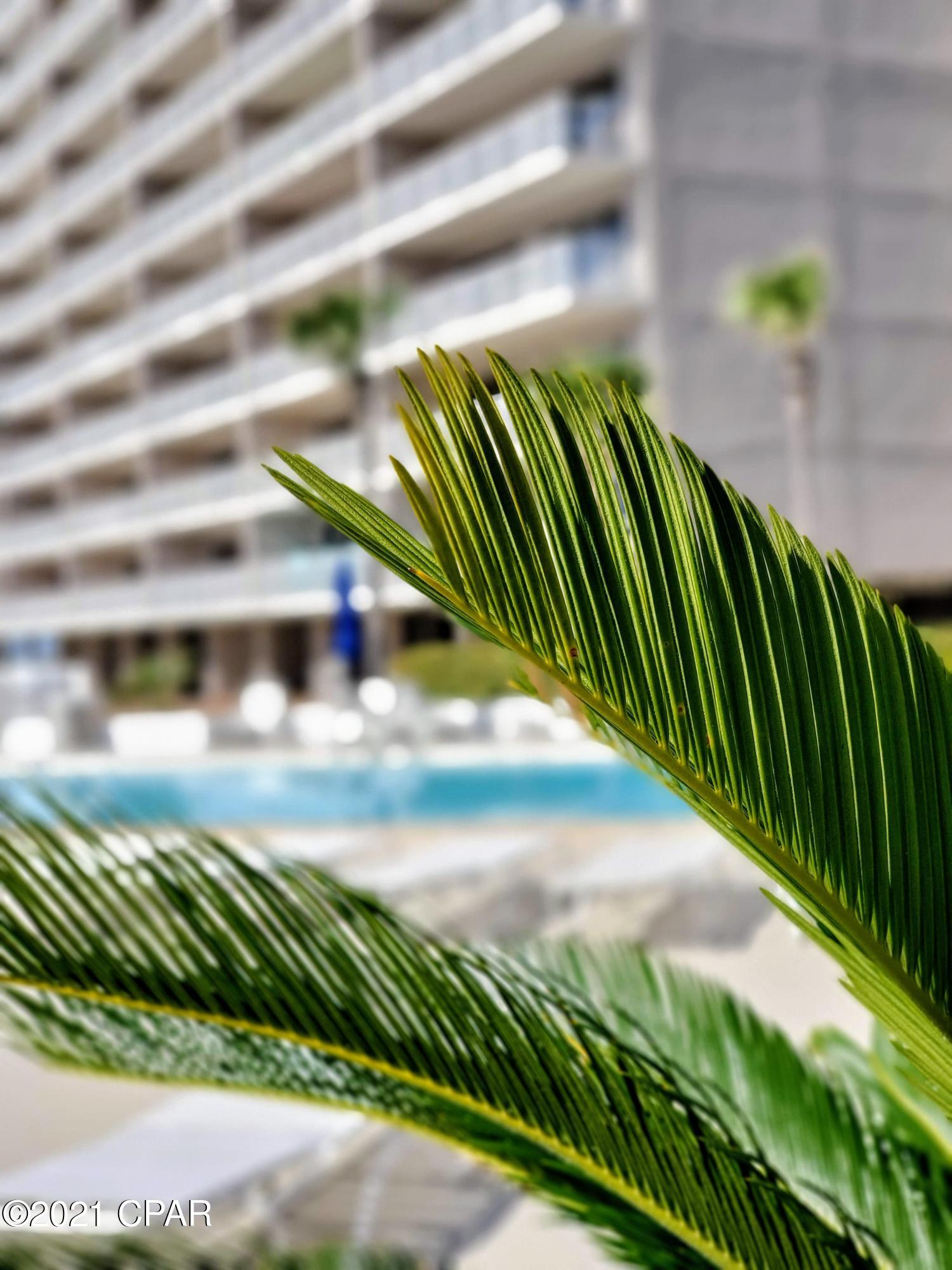 Dunes Of Panama Phase V - Residential