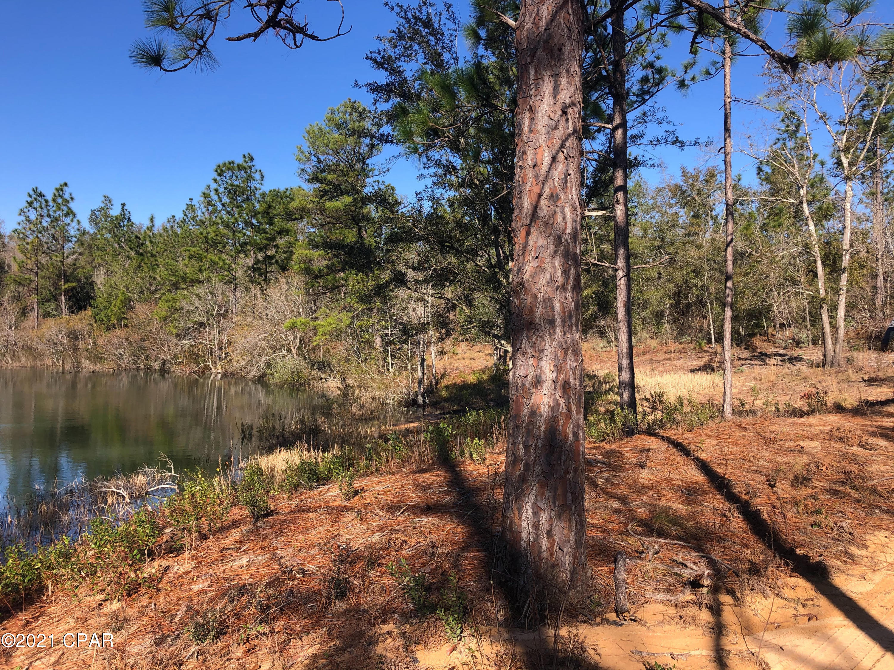 Compass Lake Hills Unit 6 - Land