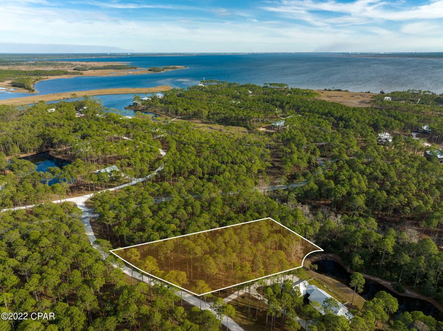 Premium 1.26 acre waterfront lot; pond view. Survey completed. Super large homesite which allows you lots of space and flexibility to build your dream home.  This community is designed for those who love nature, an active lifestyle and water activities. Here at RiverCamps you will enjoy boating, fishing, paddle boarding, crabbing, and hiking on a 7-mile nature trail system. RiverCamps on Crooked Creek offers onsite boat ramp and boat storage. Please contact Realtor Tanya Childs for additional information.