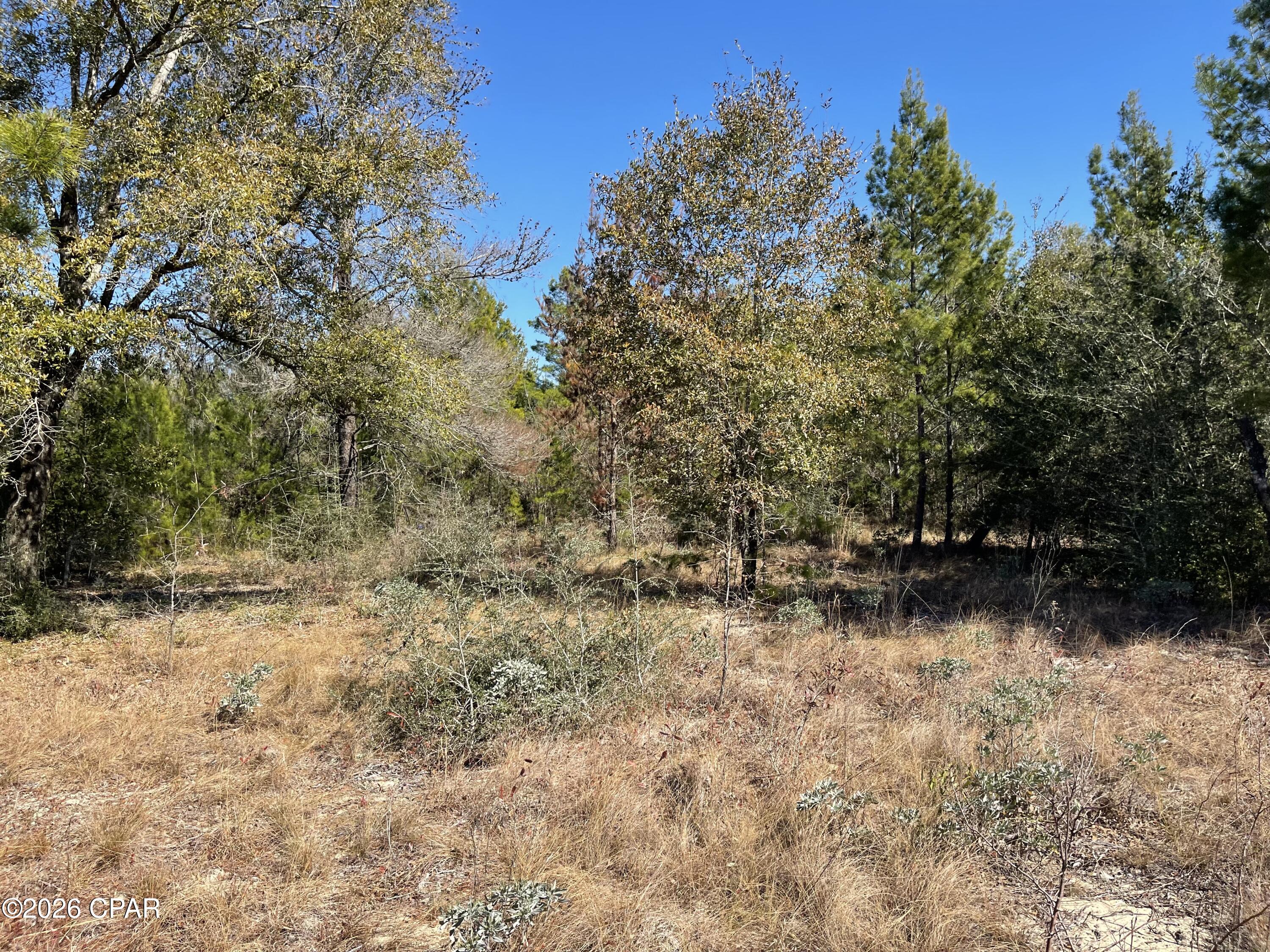 Sunny Hills Unit 2 - Land