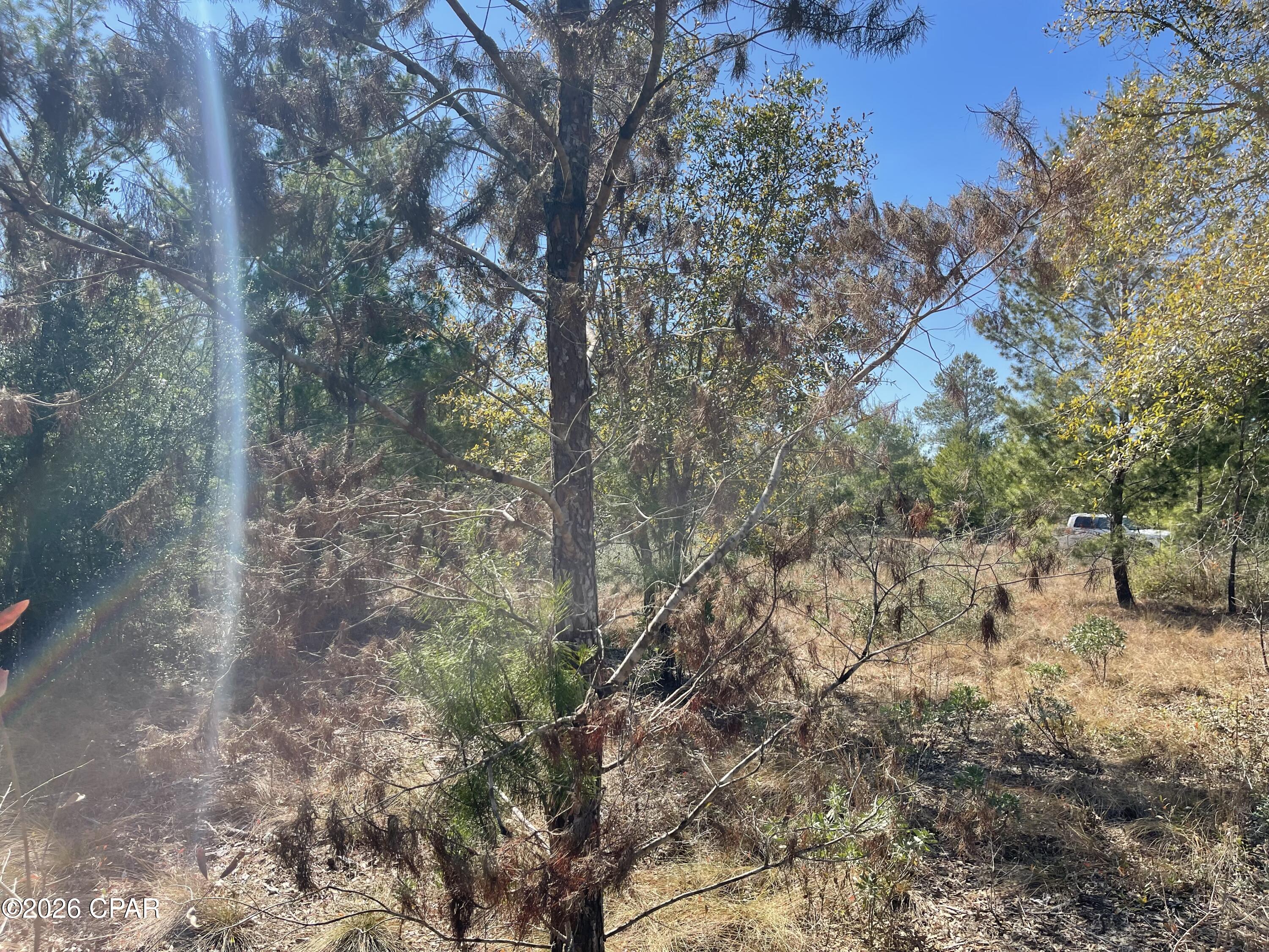 Sunny Hills Unit 2 - Land