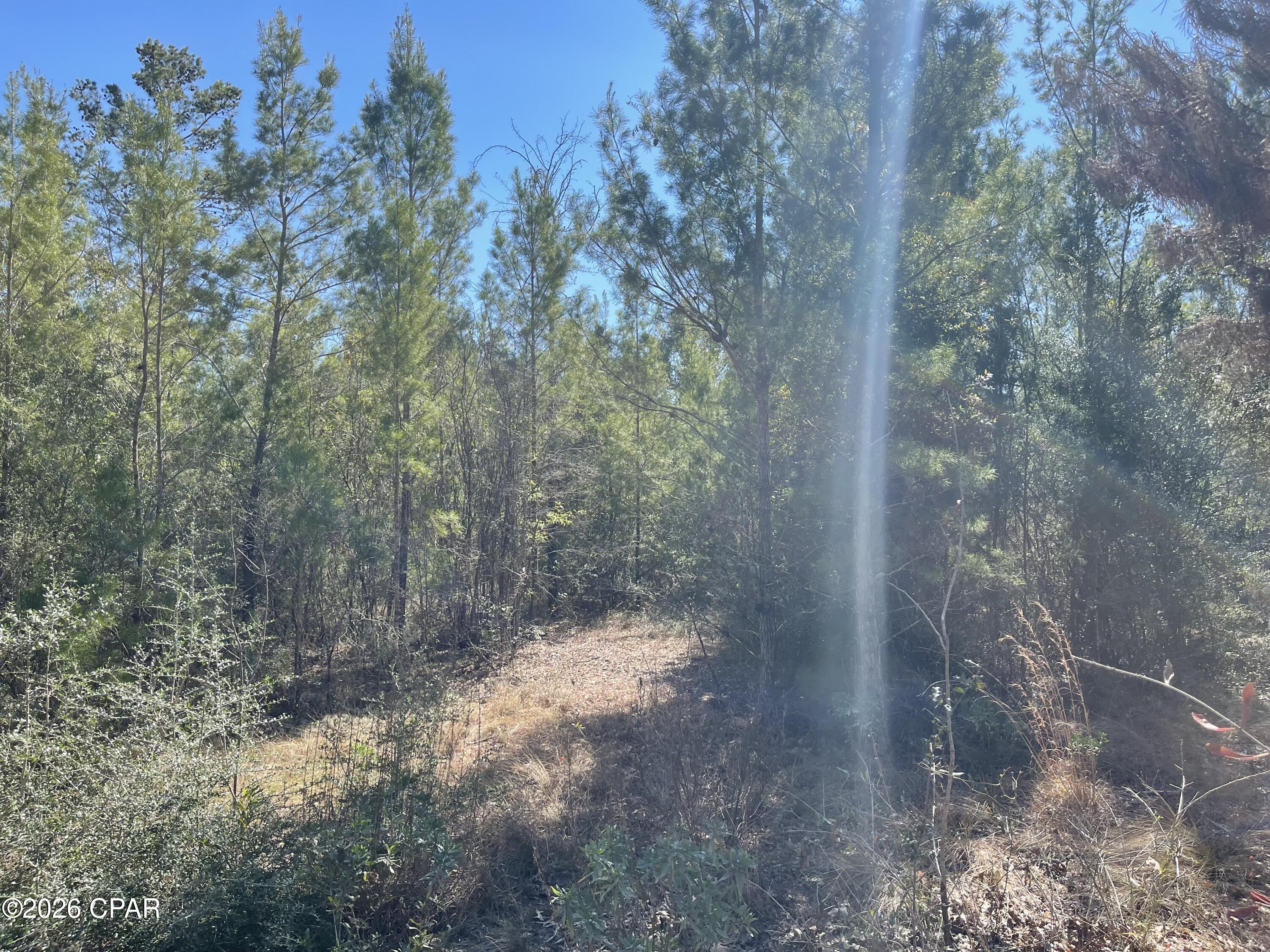 Sunny Hills Unit 2 - Land