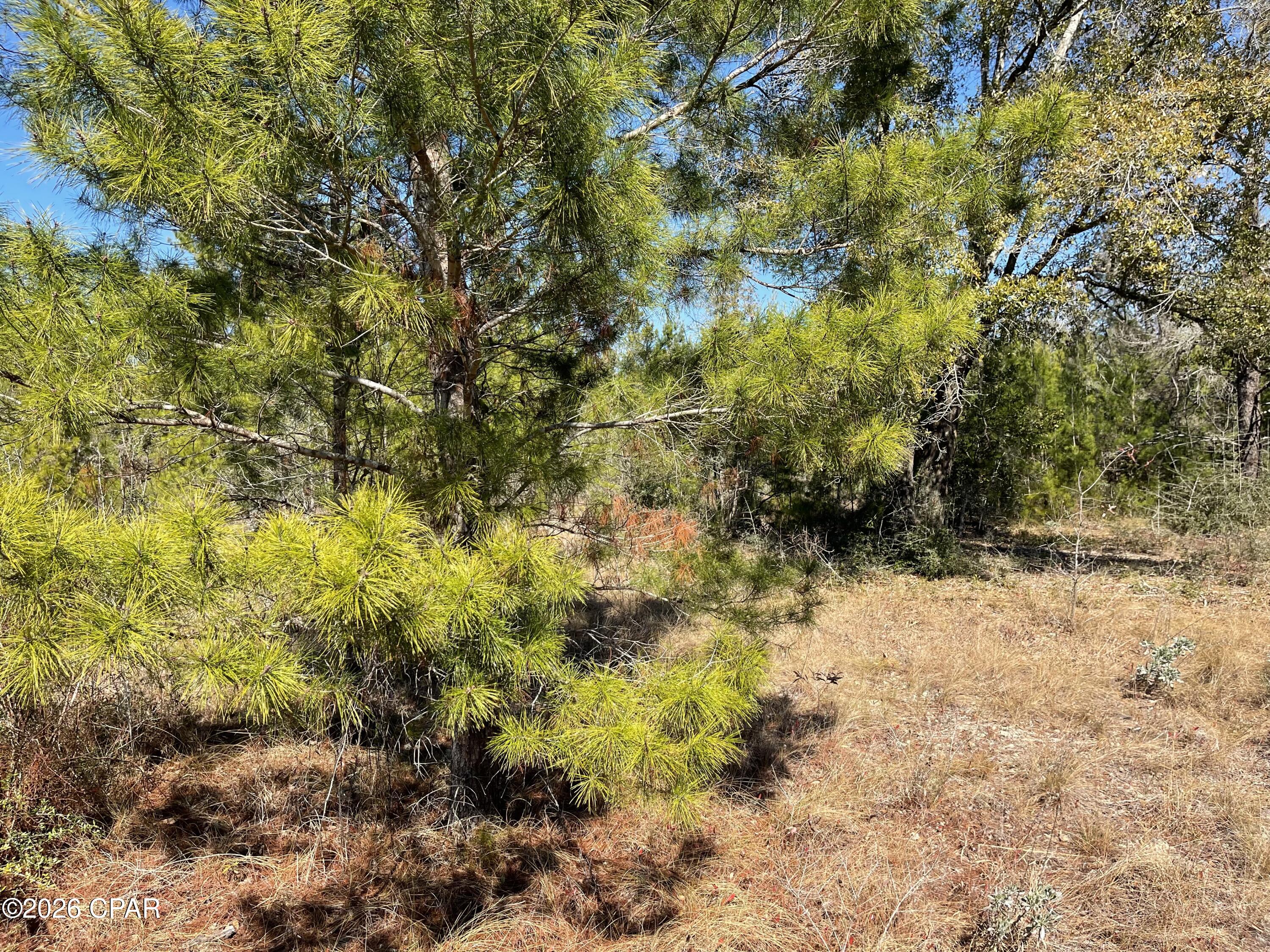 Sunny Hills Unit 2 - Land