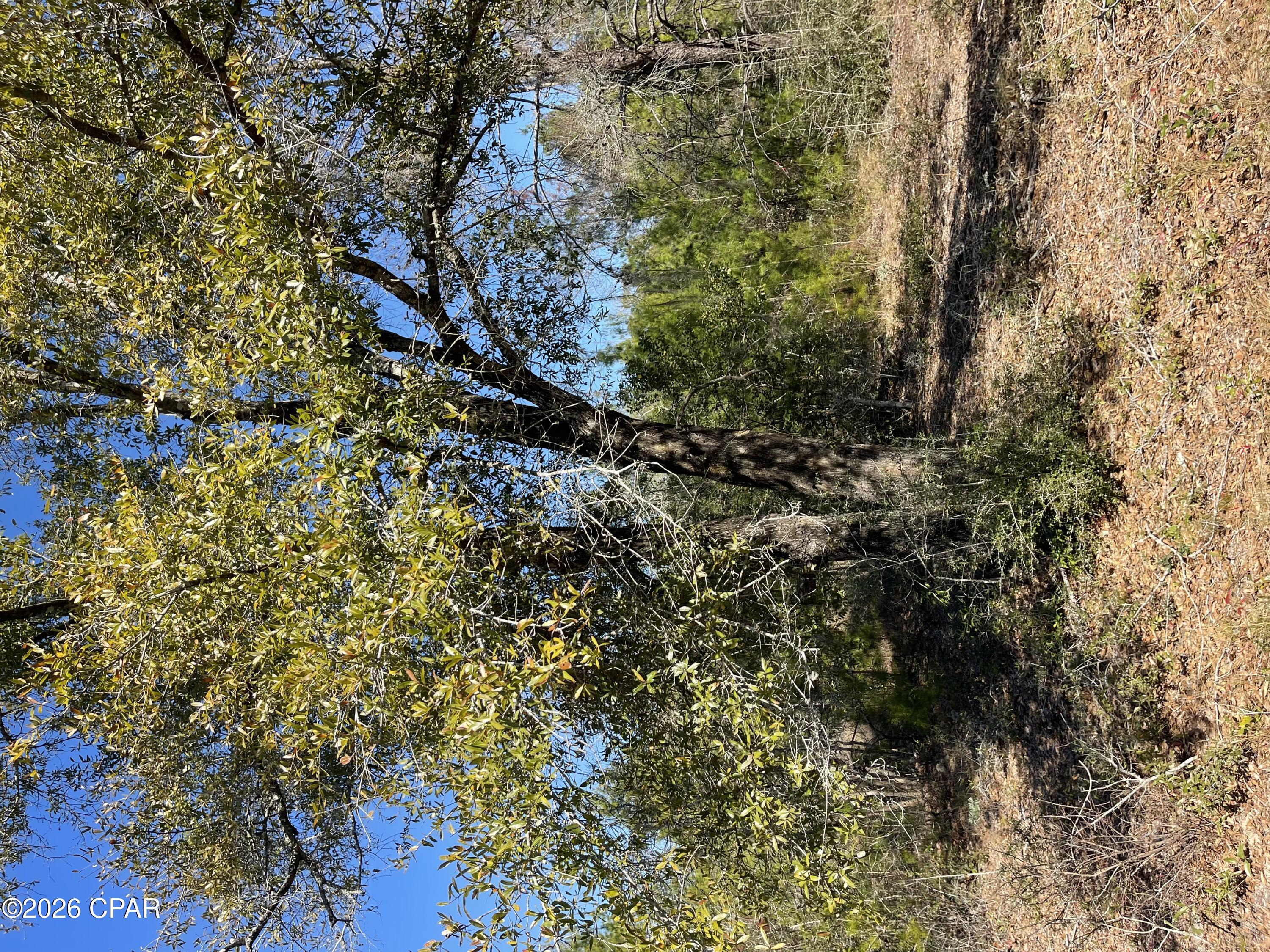 Sunny Hills Unit 2 - Land