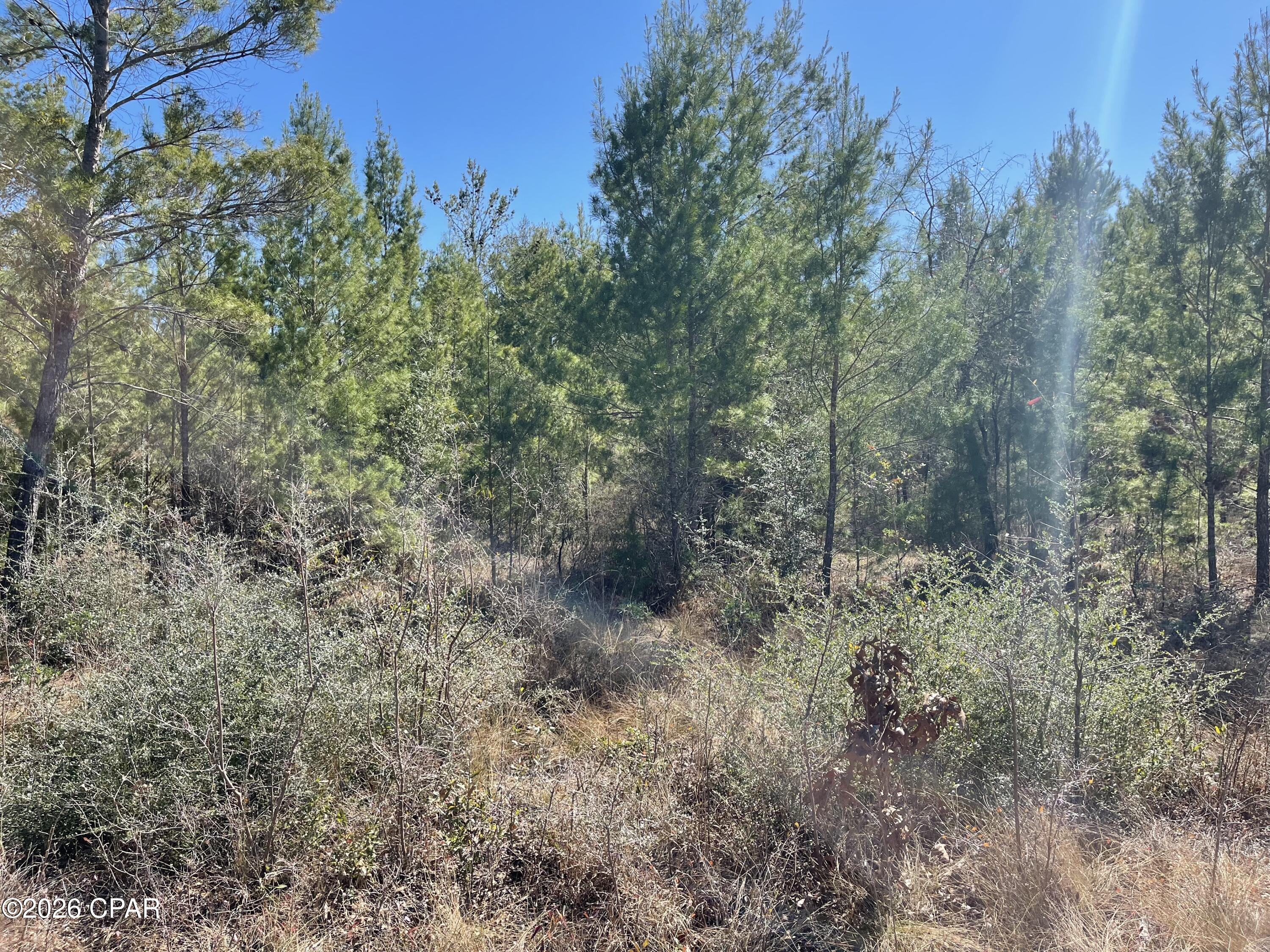 Sunny Hills Unit 2 - Land