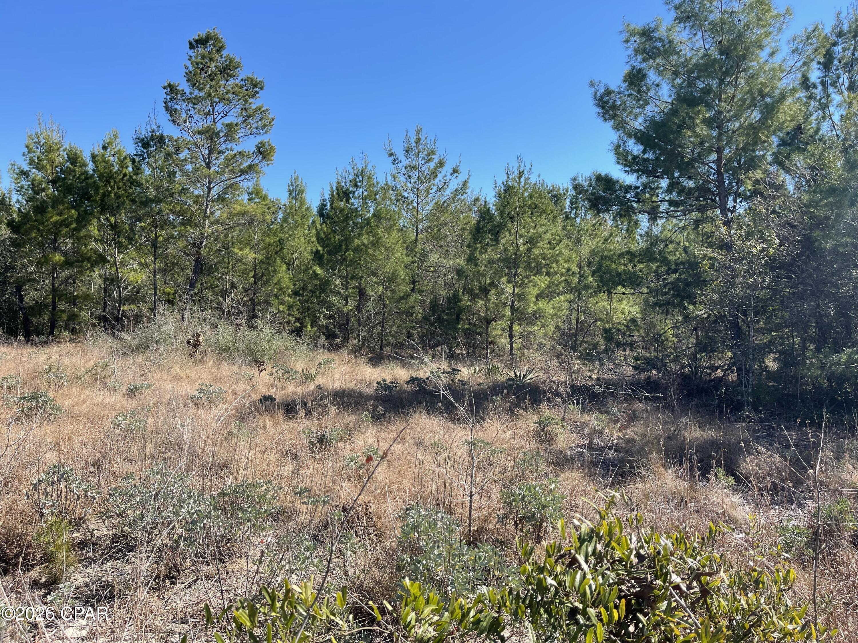 Sunny Hills Unit 2 - Land