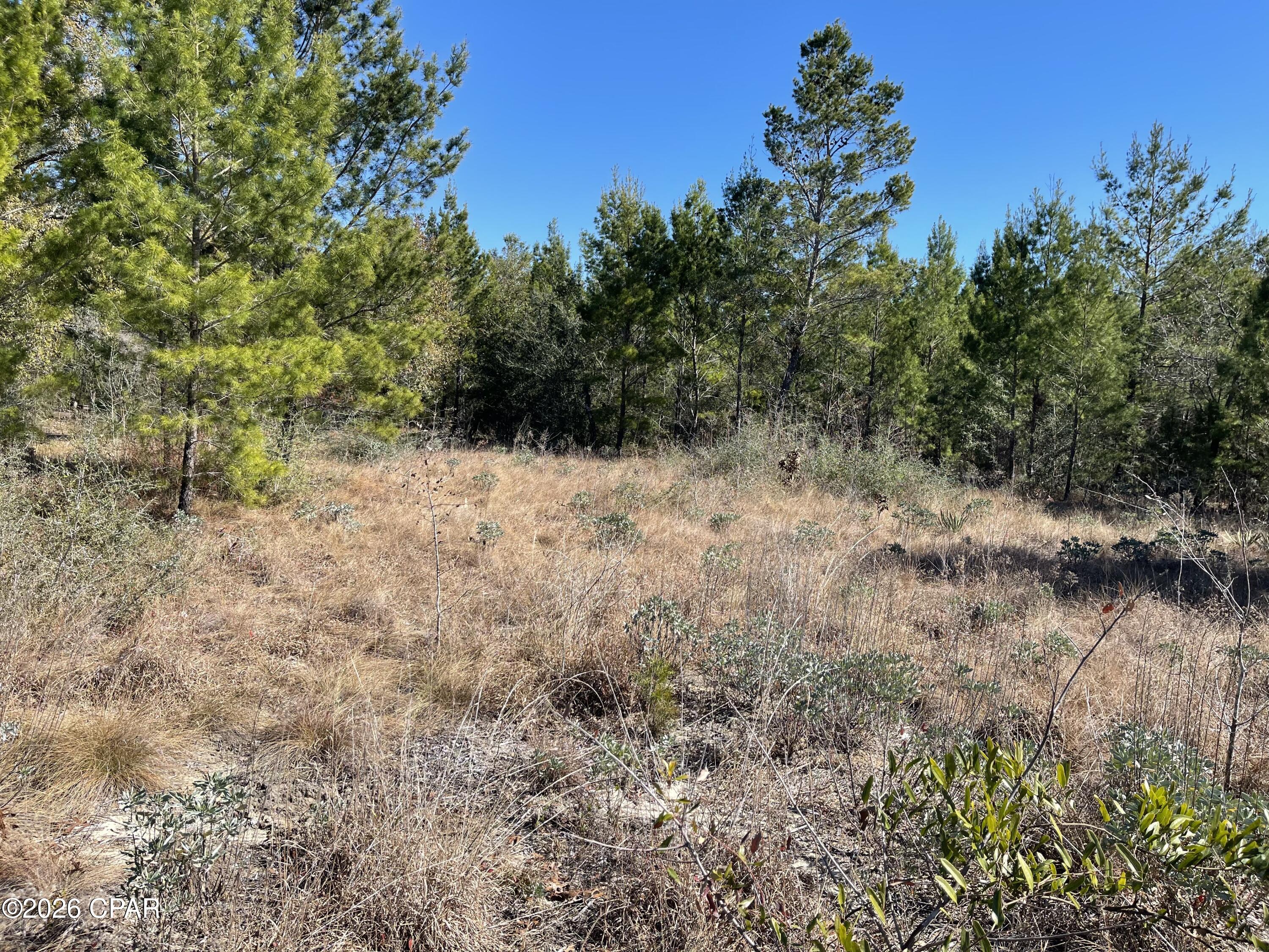 Sunny Hills Unit 2 - Land